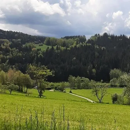 Ferienwohnung In