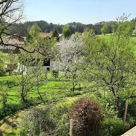 Ferienwohnung In * فيشتاخ
